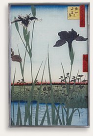 The Iris Garden at Horikiri, Hiroshige
